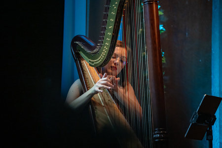 Proslava obcˇine Lasˇko_-19